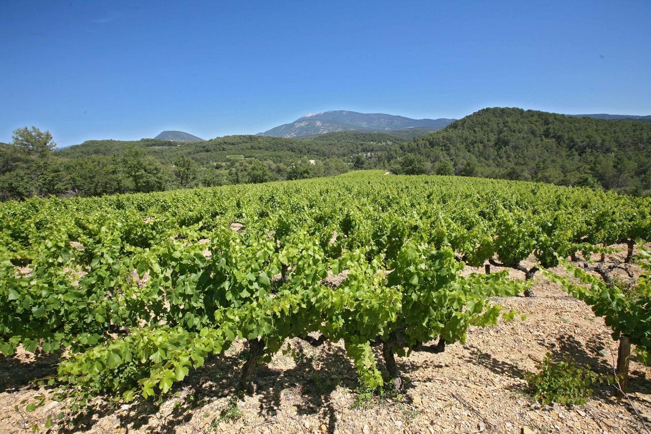 Auberge Les Olivades Mallemort Εξωτερικό φωτογραφία